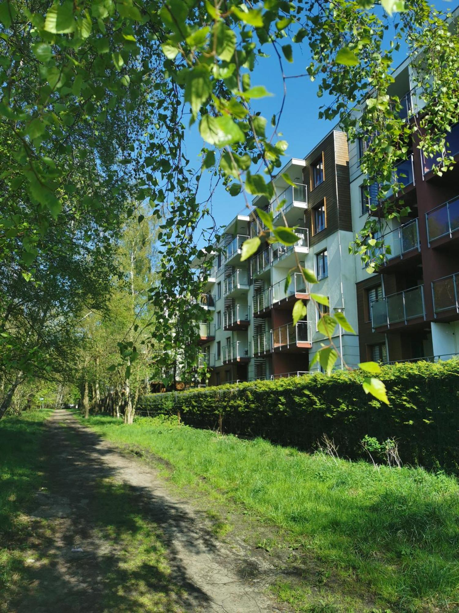Apartment Seaside Forest - Polanki